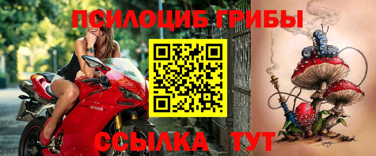Беслан  Галлюциногенные грибы Psilocybe  Вход с VPN 